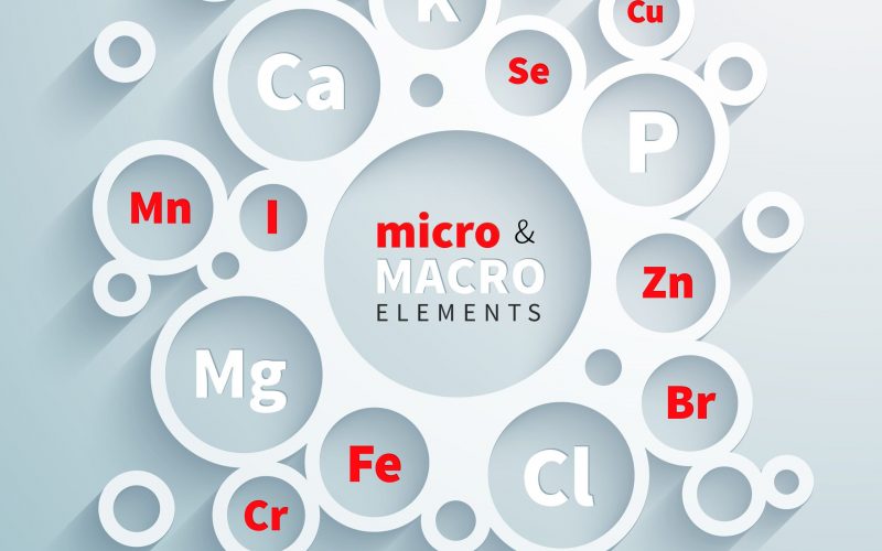 Flat circles composition with the names of important micro and macronutrients